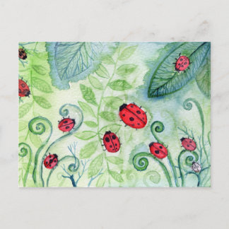 Ladybird Postkarte