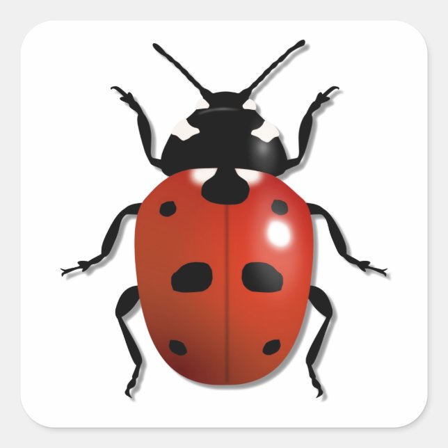 Ladybird Quadratischer Aufkleber (Vorderseite)
