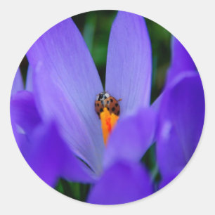 Ladybird-Sticker Runder Aufkleber