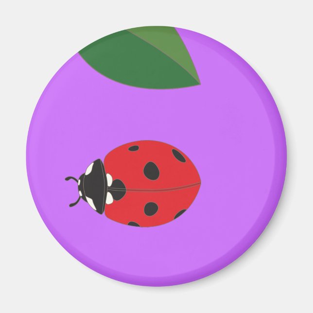 Ladybirds Magnet (Vorne)