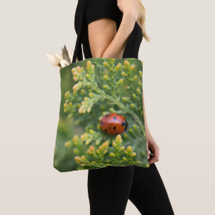 Ladybug