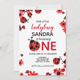 Ladybug 1. Baby Girl Geburtstagseinladung Einladung
