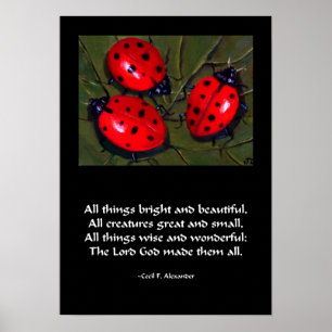 LADYBUG ALLE DINGE BRIGHT POSTER