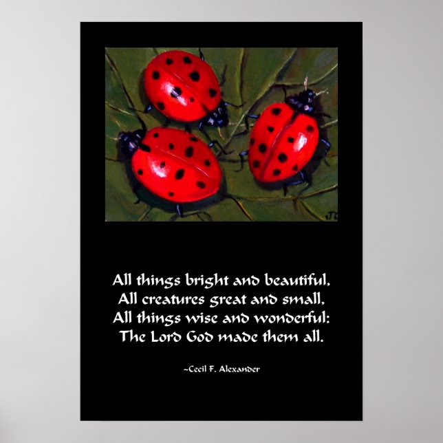 LADYBUG ALLE DINGE BRIGHT POSTER (Vorne)