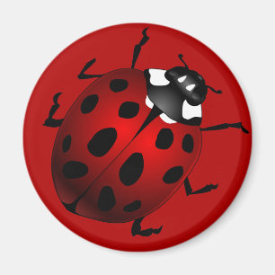 Ladybug Art Magnet Ladybird Ladybug Kühlschrankmag