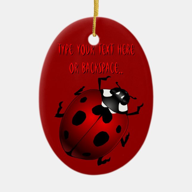 Ladybug Art Ornament Bug Keepsake Ladybug Gifts (Vorne)