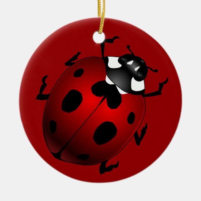 Ladybug Art Ornament Bug Keepsake Ladybug Gifts (Vorne)