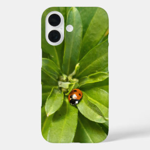 Ladybug auf Blume iPhone 16 Hülle