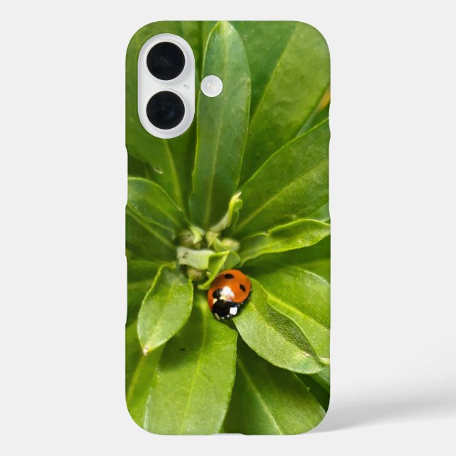 Ladybug auf Blume Case-Mate iPhone Hülle (Rückseite)