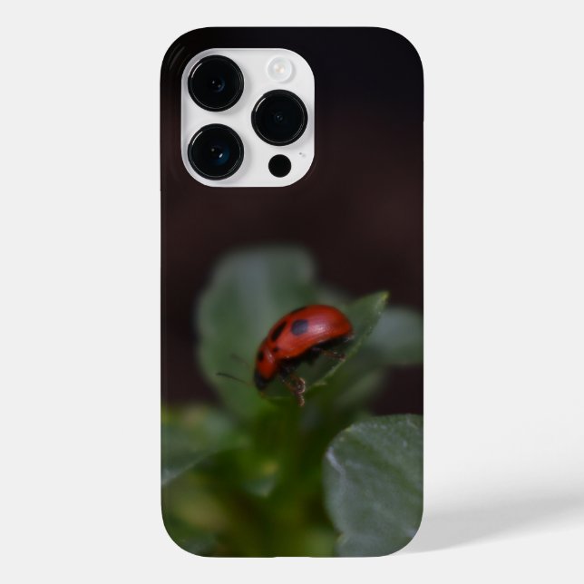 Ladybug auf Blume Case-Mate iPhone Hülle (Rückseite)