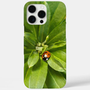 Ladybug auf Blume iPhone 16 Pro Max Hülle