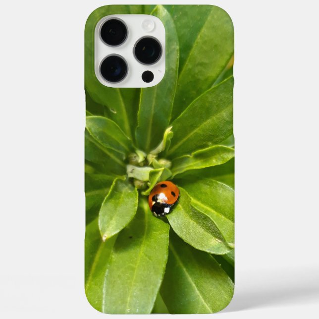 Ladybug auf Blume Case-Mate iPhone Hülle (Rückseite)