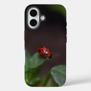 Ladybug auf Blume iPhone 16 Hülle