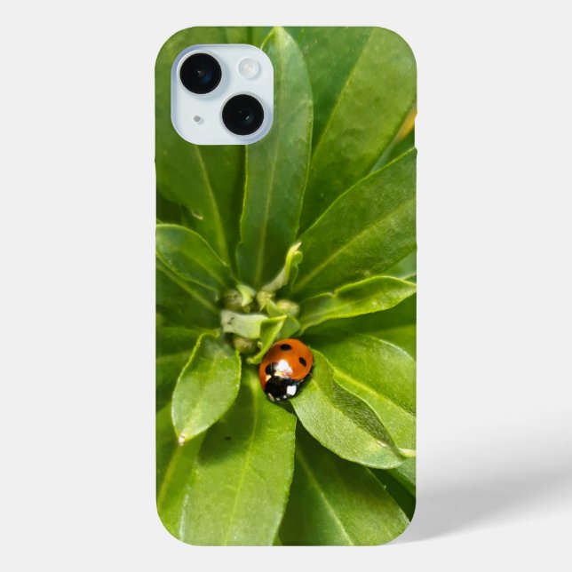 Ladybug auf Blume Case-Mate iPhone Hülle (Rückseite)