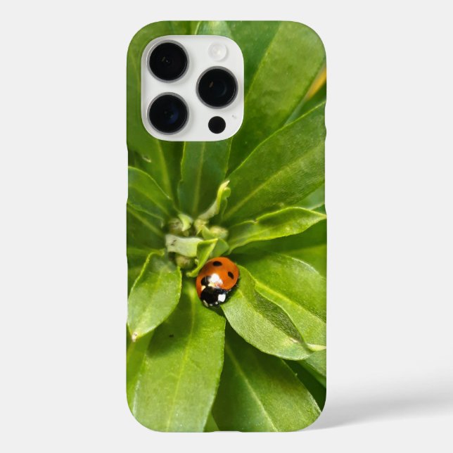 Ladybug auf Blume Case-Mate iPhone Hülle (Rückseite)