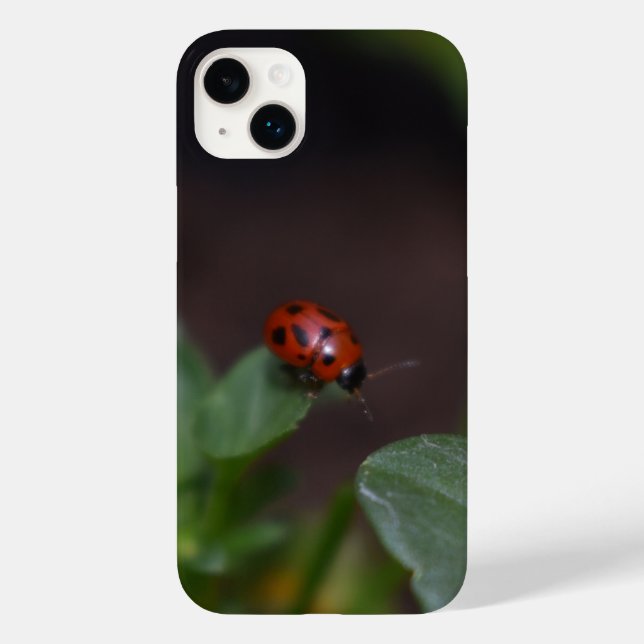 Ladybug auf Blume Case-Mate iPhone Hülle (Rückseite)