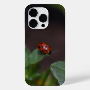 Ladybug auf Blume Case-Mate iPhone 14 Pro Hülle