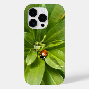 Ladybug auf Blume Case-Mate iPhone 14 Pro Hülle