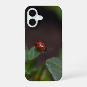 Ladybug auf Blume iPhone 16 Hülle