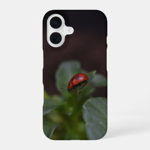 Ladybug auf Blume iPhone 16 Hülle