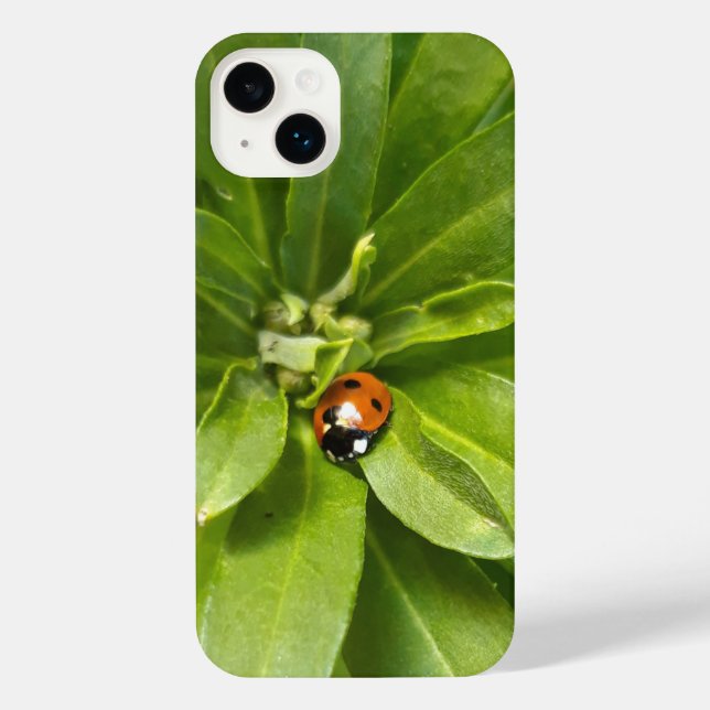 Ladybug auf Blume iPhone Hülle (Rückseite)