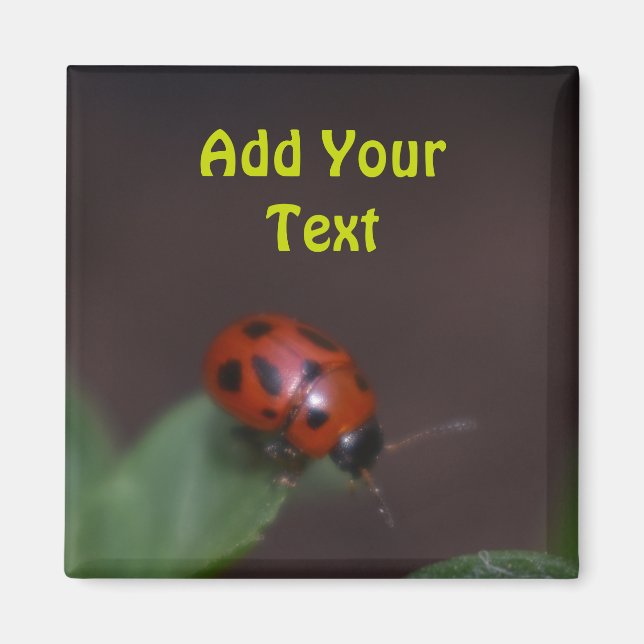 Ladybug auf Blume Magnet (Vorne)