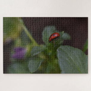 Ladybug auf Blume Puzzle