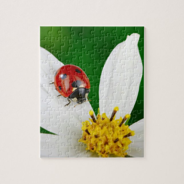 Ladybug auf Blume Puzzle (Vertikal)