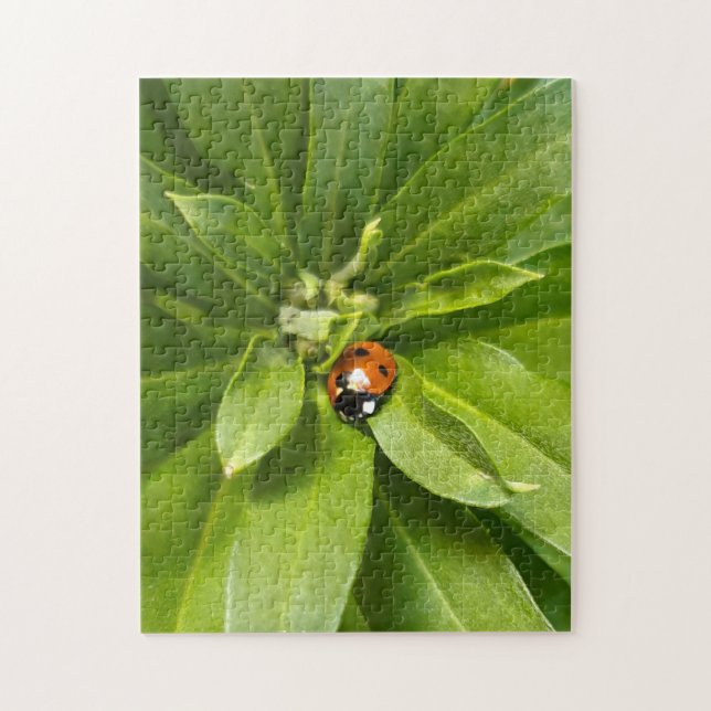 Ladybug auf Blume Puzzle (Vertikal)