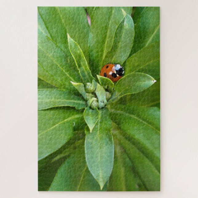 Ladybug auf Blume Puzzle (Vertikal)