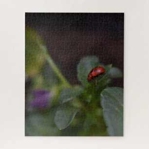 Ladybug auf Blume Puzzle