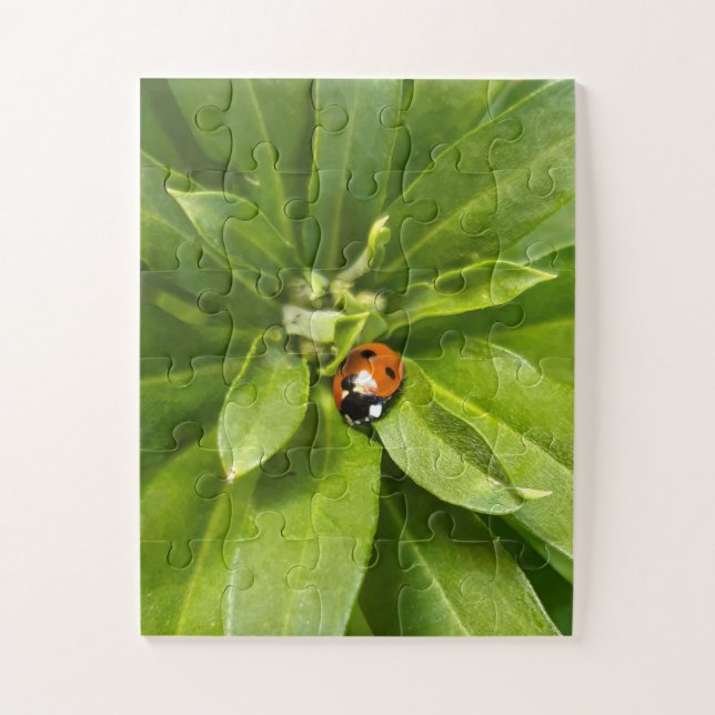 Ladybug auf Blume Puzzle (Vertikal)