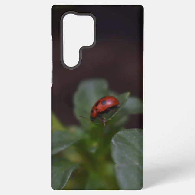 Ladybug auf Blume Samsung Galaxy Hülle (Rückseite)
