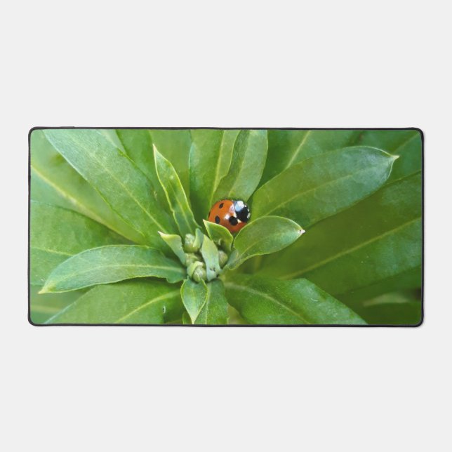 Ladybug auf Blume Schreibtischunterlage (Vorderseite)