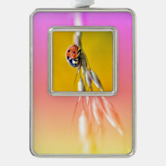 Ladybug auf dem Aufkleber auf der Postkarte T - Sh Rahmen-Ornament Silber