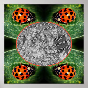 Ladybug auf dem Leaf-Rahmen erstellen Sie Ihr eige Poster