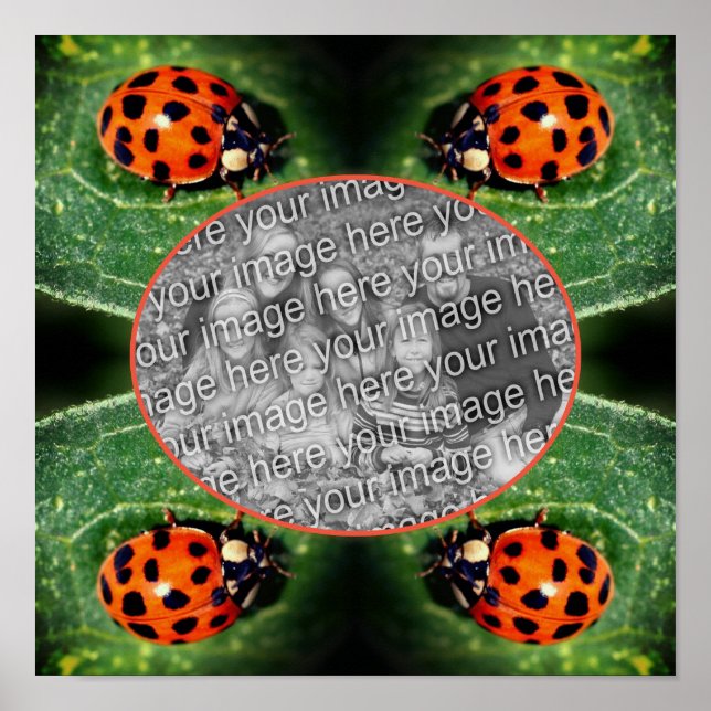 Ladybug auf dem Leaf-Rahmen erstellen Sie Ihr eige Poster (Vorne)