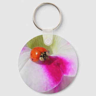 Ladybug auf dem Petunia-Schlüsselanhänger Schlüsselanhänger