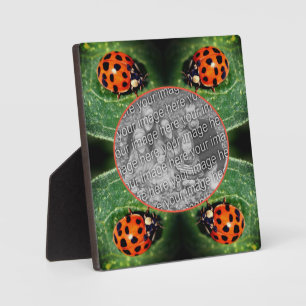 Ladybug auf der linken Seite Erstellen Sie Ihr eig Fotoplatte