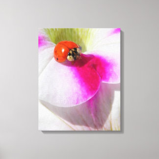 Ladybug auf der Petunia Canvas Print Leinwanddruck
