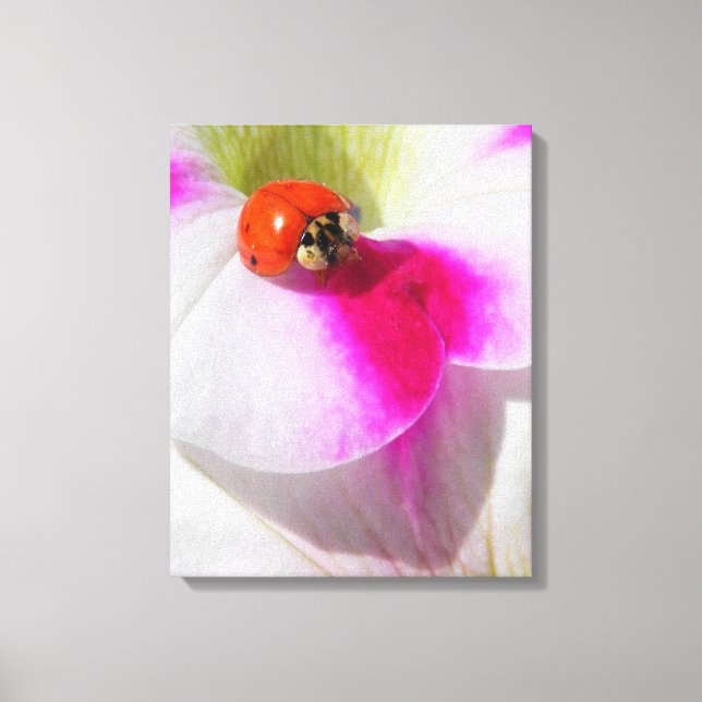 Ladybug auf der Petunia Canvas Print Leinwanddruck (Vorderseite)