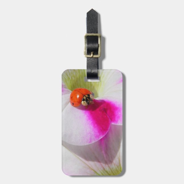 Ladybug auf der Petunia Gepäckanhänger (Vorderseite vertikal)