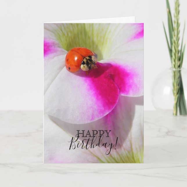 Ladybug auf der Petunia Karte (Vorderseite)