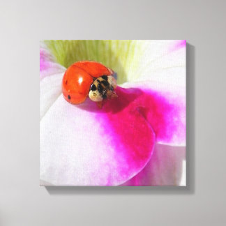 Ladybug auf der Petunia Leinwanddruck