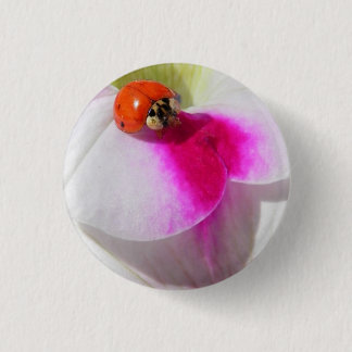 Ladybug auf der Petunia-Taste Button