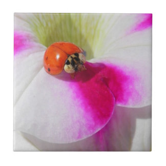 Ladybug auf der Petunia - Tile Fliese