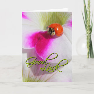 Ladybug auf der Petunia - Viel Glück Card Karte