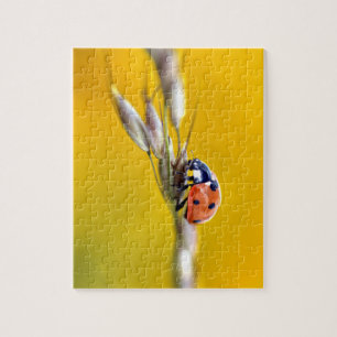 Ladybug auf der Postkarte Puzzle