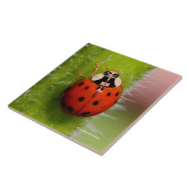 Ladybug auf der Sonnenblumenhalle Fliese