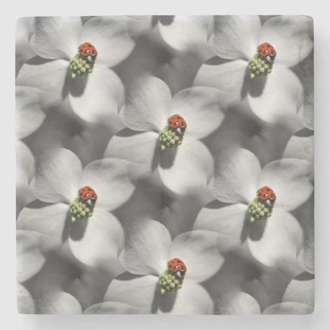 Ladybug auf Dogwood Blume Art Pattern Steinuntersetzer (Vorderseite)